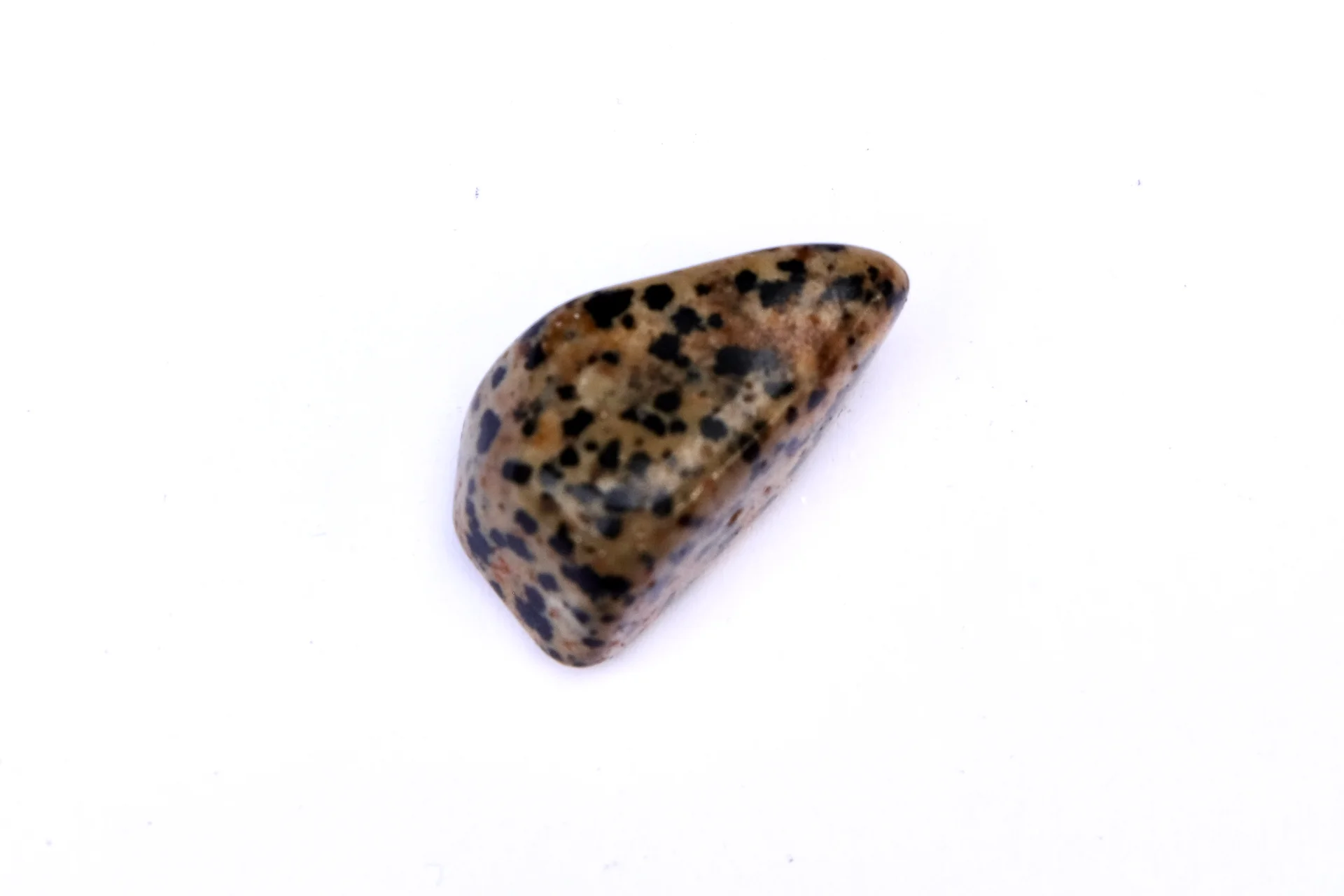 Dalmatian jasper